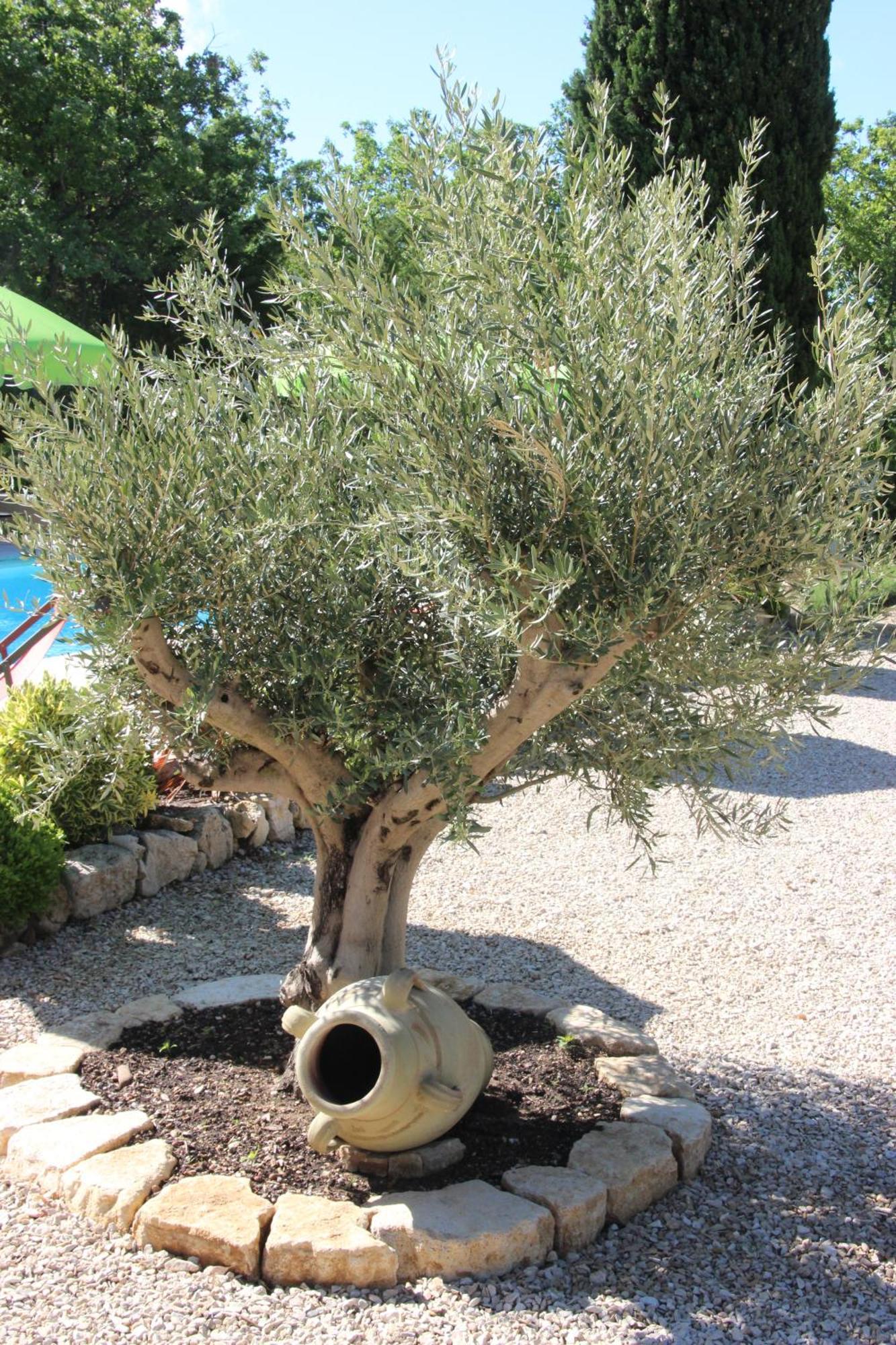Le Hameau Fleur De Pierres , Chambre , Gite Et Table D'Hotes Murs  المظهر الخارجي الصورة